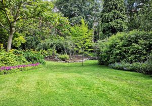 Optimiser l'expérience du jardin à Monchel-sur-Canche